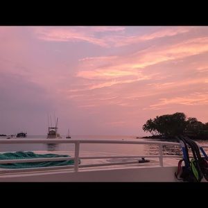 Meet your Posher, Brickley